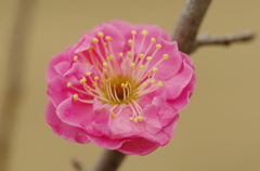 IMGP5756