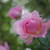 IMGP6557