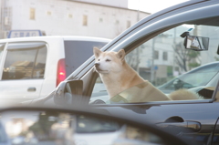 何考える