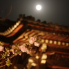 花と月