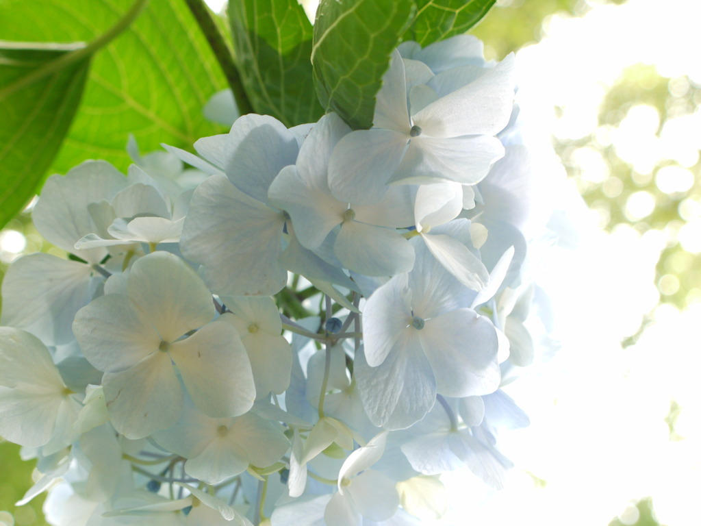 ６月は。。。。