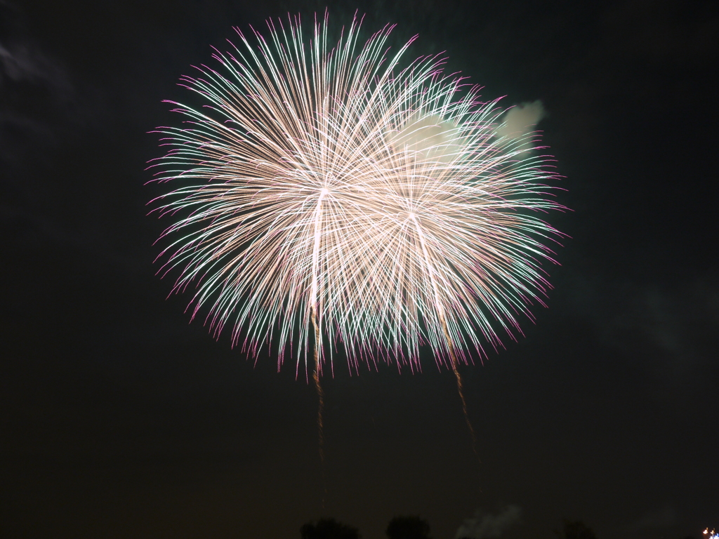 夜に花