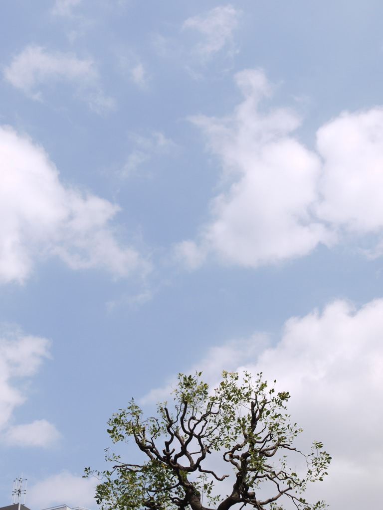 空