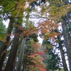 秋と言えば。。。。。