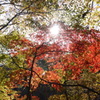 太陽さんこんにちわ