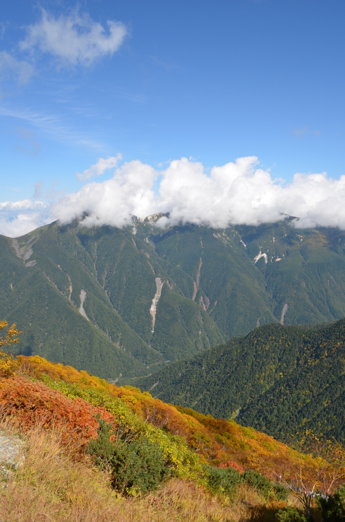 In Autumn