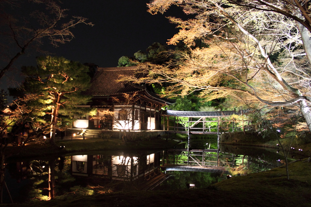 高台寺の庭園