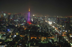 夜の東京とタワー