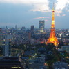 夕方の東京タワー