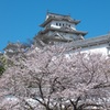 20100404姫路城桜②