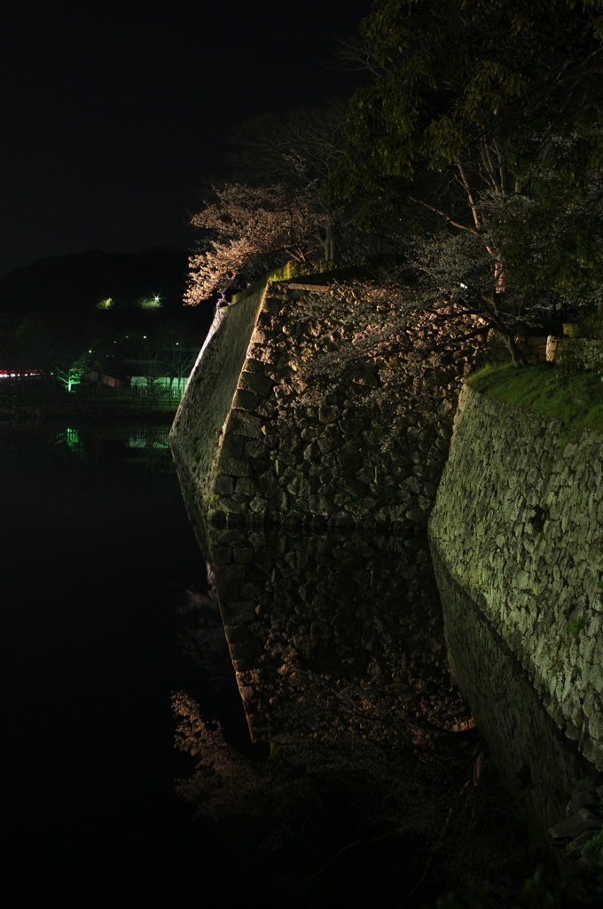 20100404姫路城桜⑥