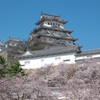 20100404姫路城桜①