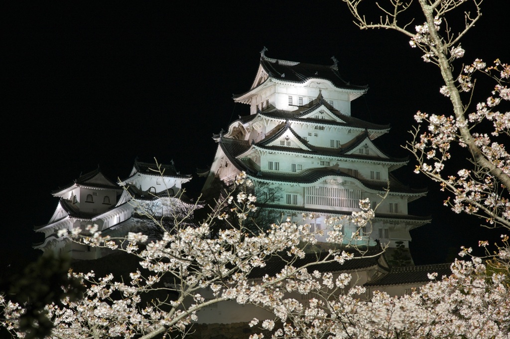 20100404姫路城桜⑤
