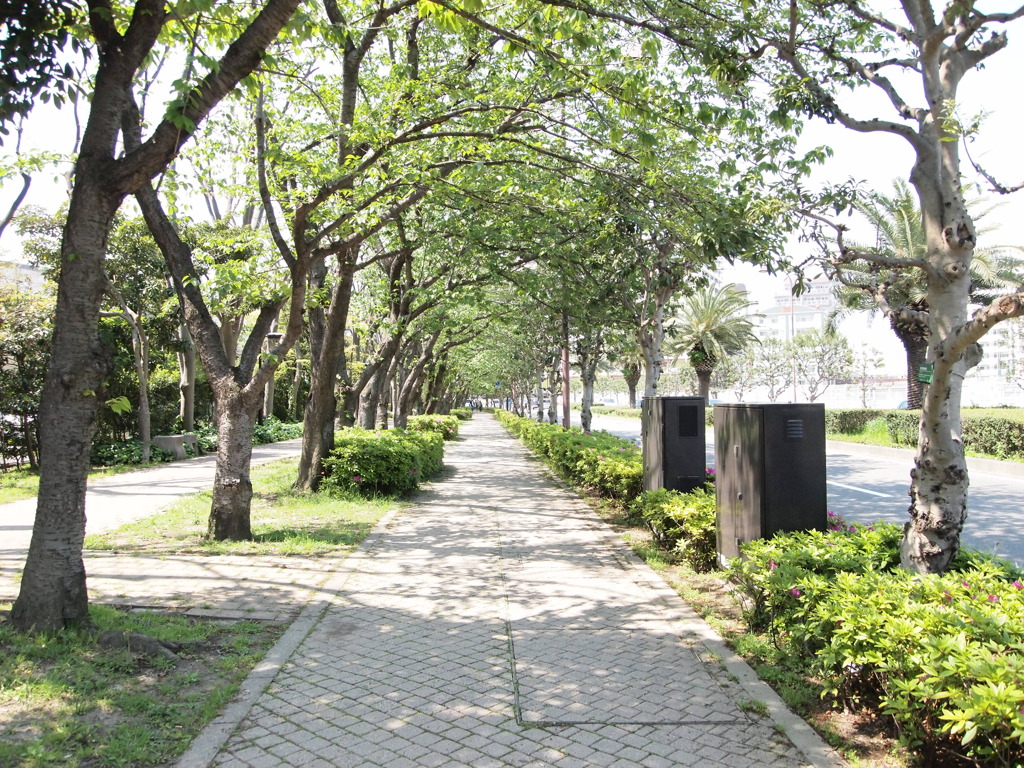 散歩道