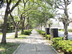 散歩道