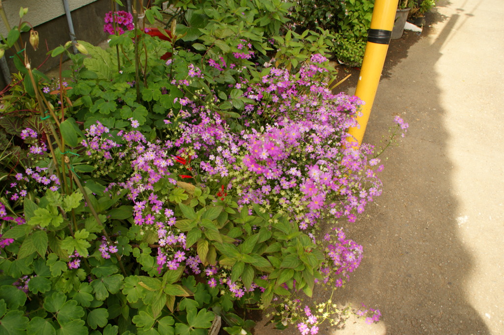 DSC01149