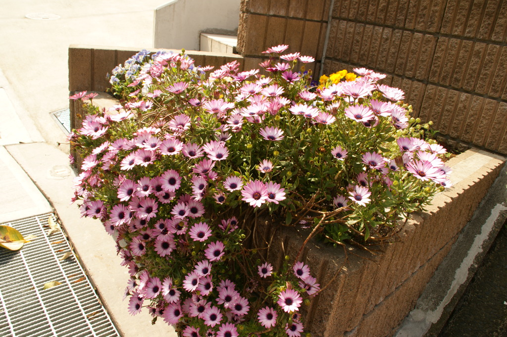 DSC01140