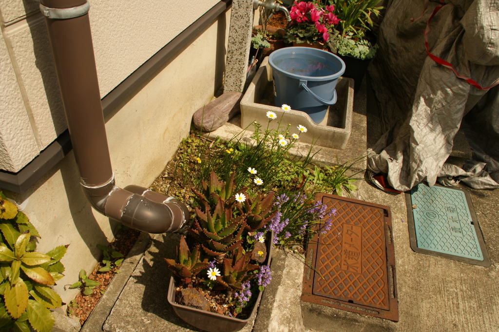 DSC01161