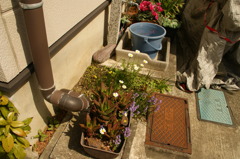 DSC01161