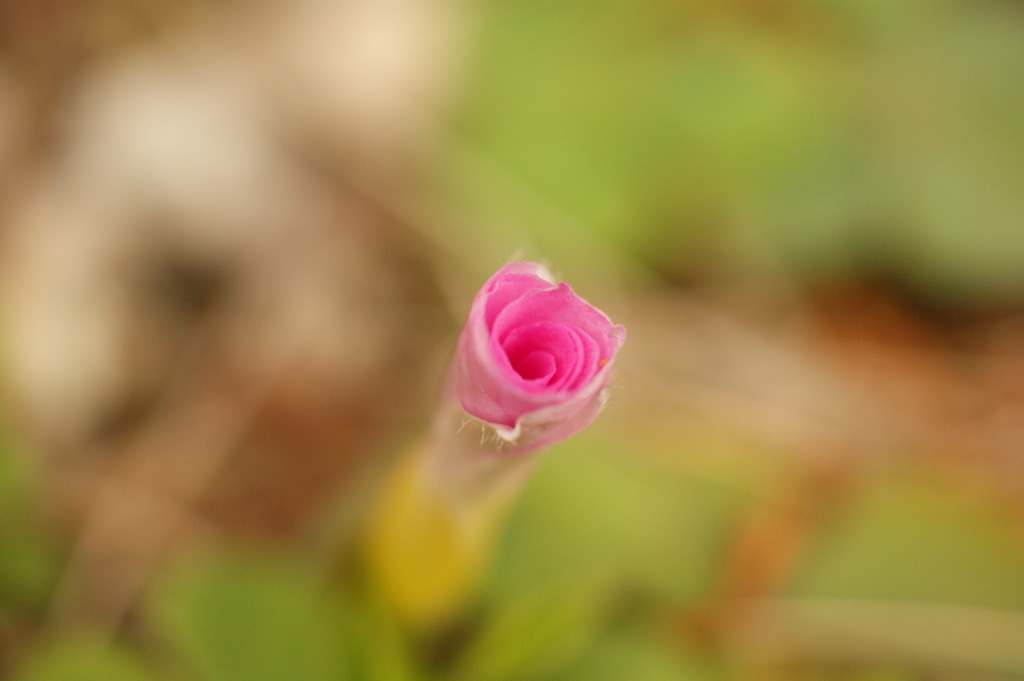 DSC00476