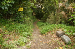 DSC01132