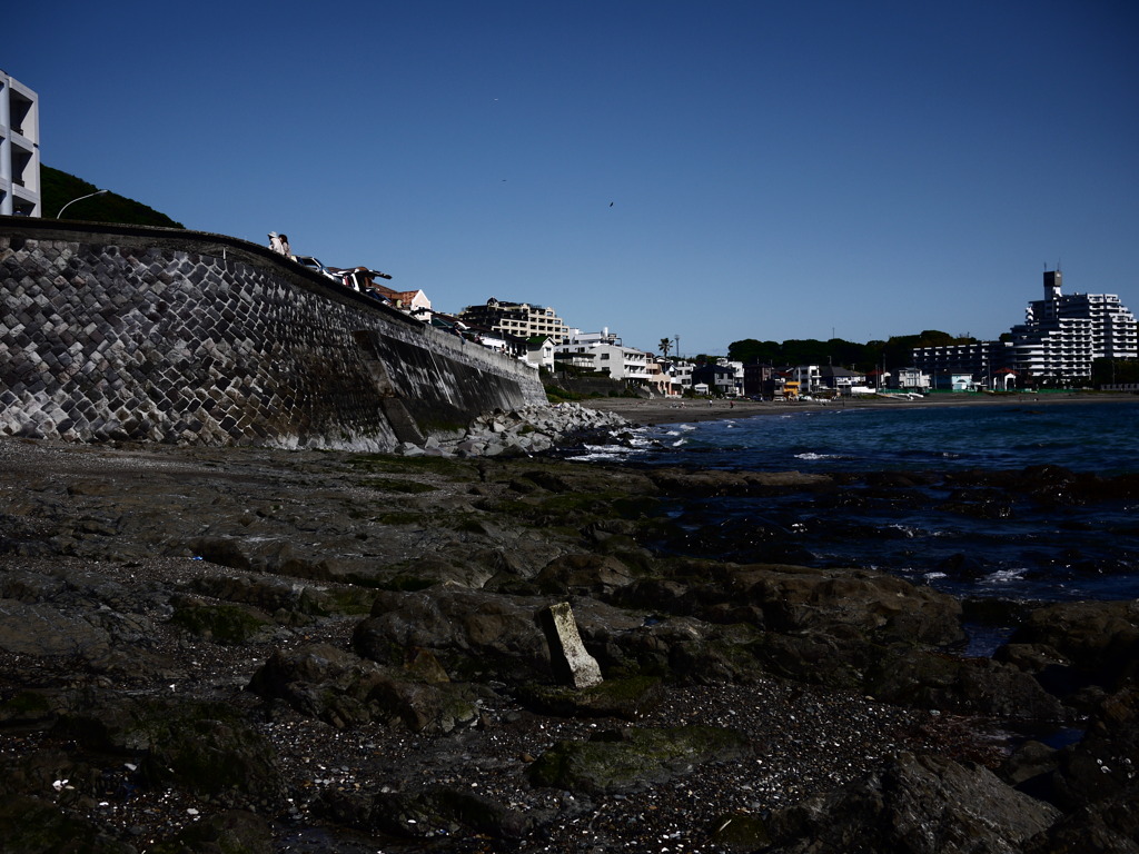 P1000584