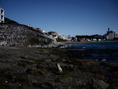 P1000584