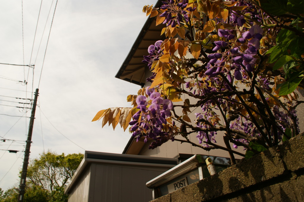 DSC01125