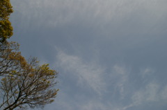 DSC01134