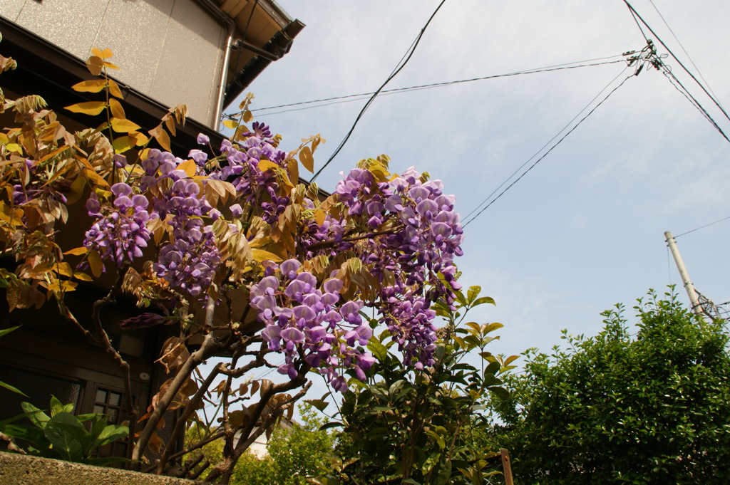DSC01122