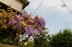 DSC01122
