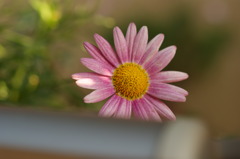 DSC00658