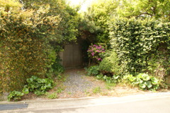 DSC01126