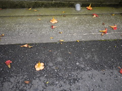 つかれちゃった