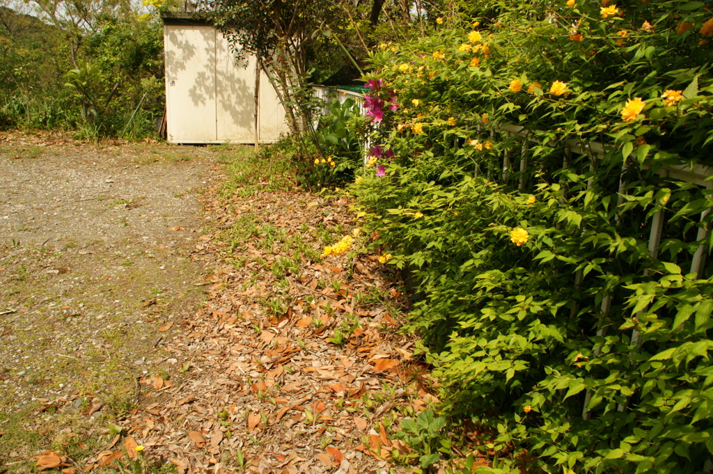 DSC01130