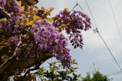 DSC01123