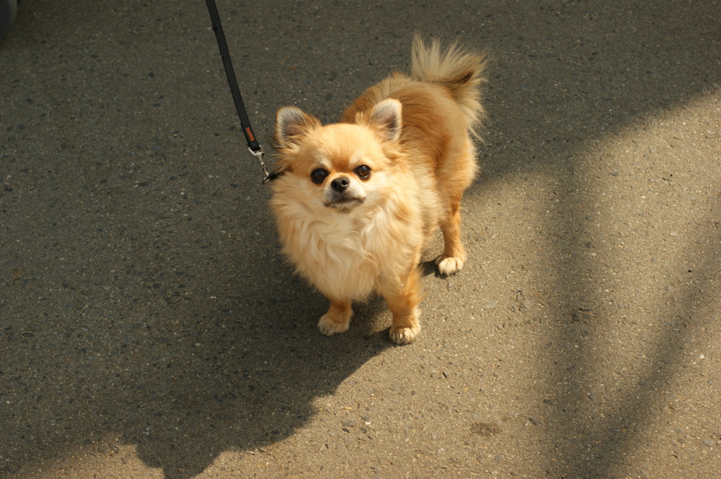 DSC00902