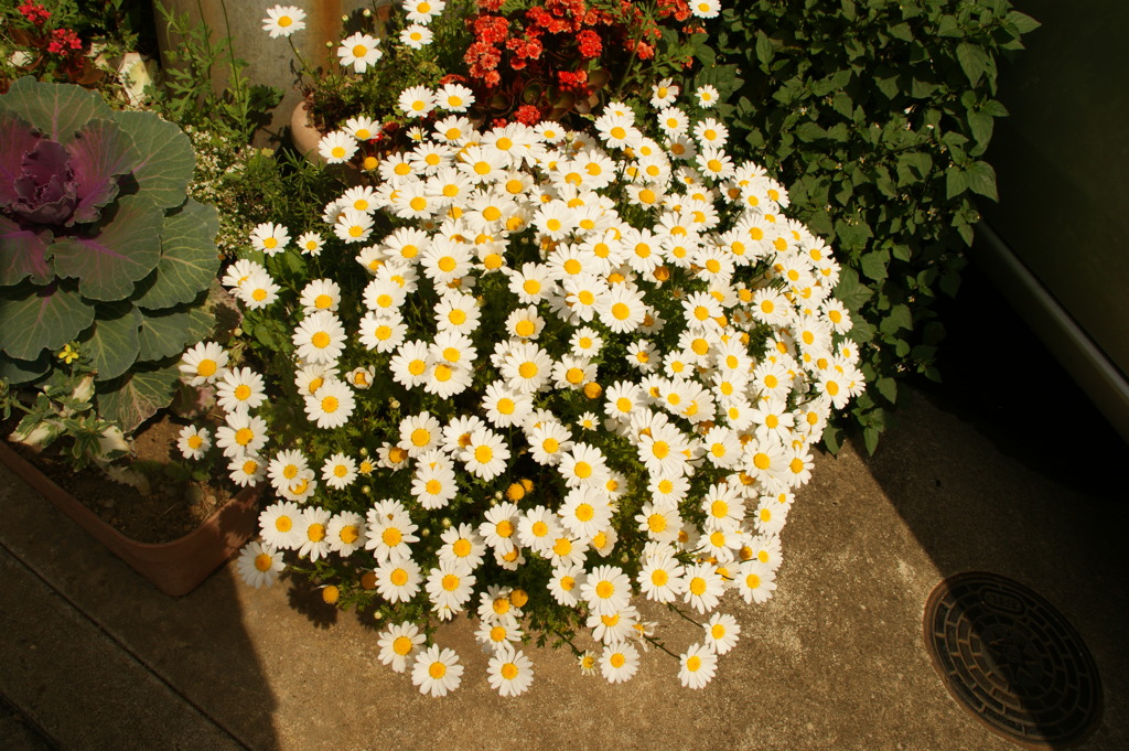 DSC01162