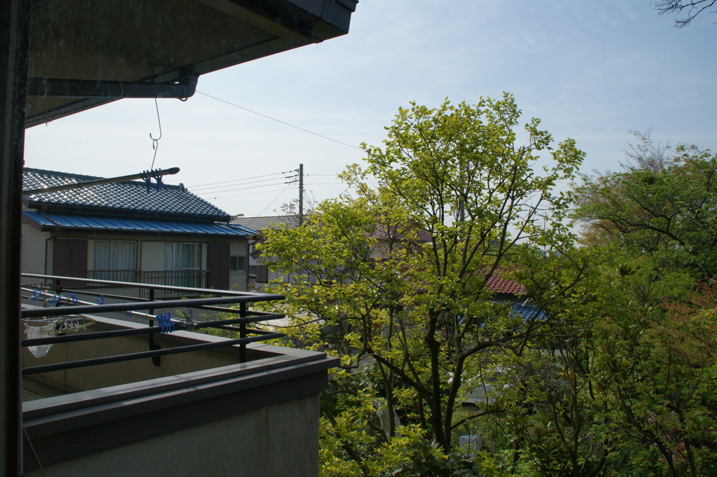 部屋の窓からこんにちは。