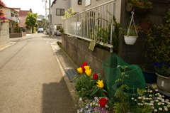 DSC01127