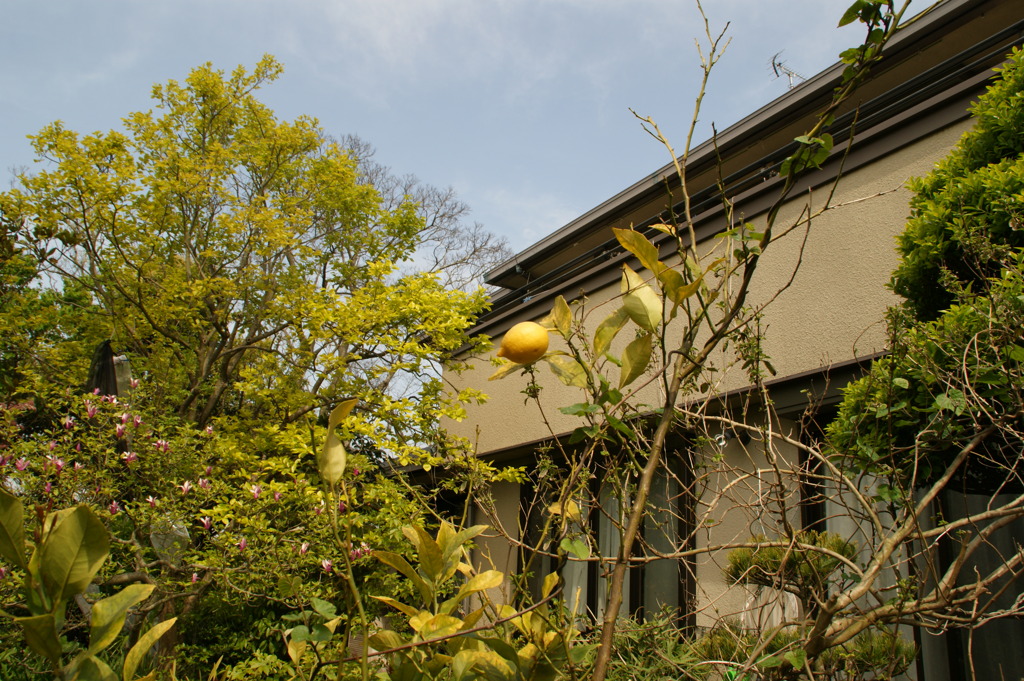 DSC01117