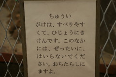DSC00479