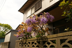 DSC01121