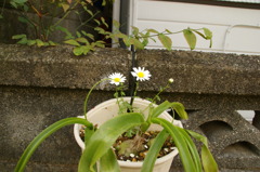 DSC01150