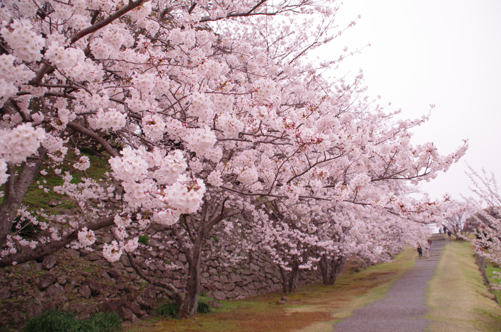 名護屋城跡