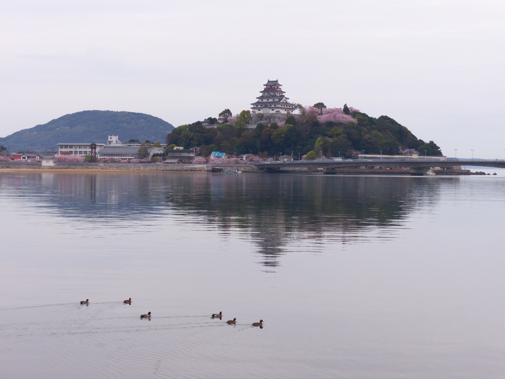 いや～引越シーズンです