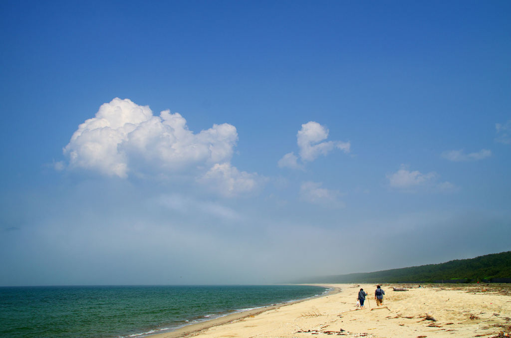 夏へ向かって