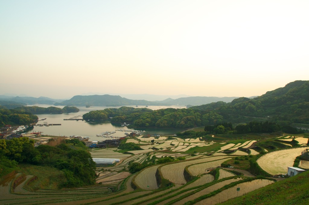 大浦の棚田　2018