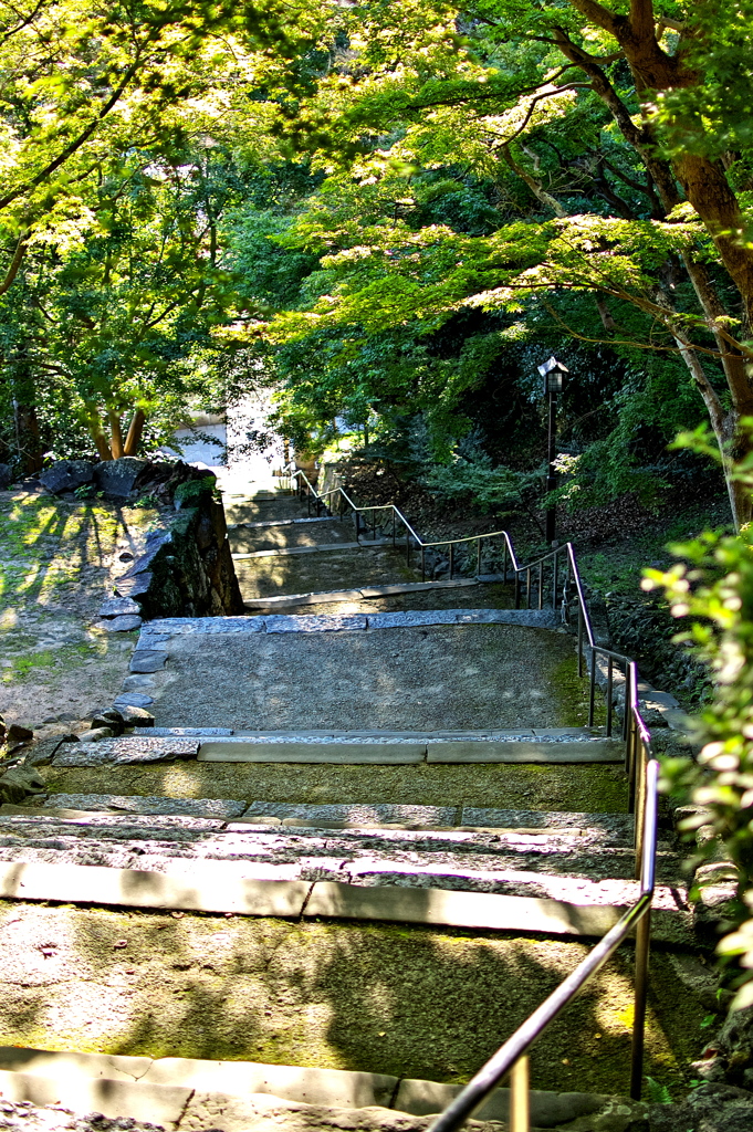 唐津城の石階段