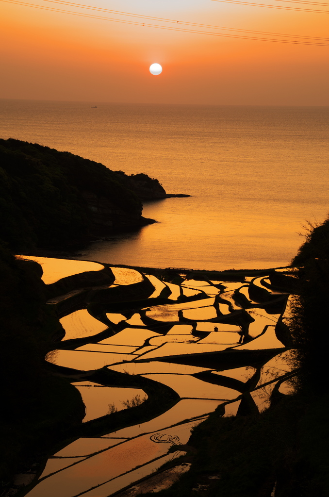 浜野浦の棚田
